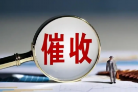 璧山专业讨债公司有哪些核心服务？